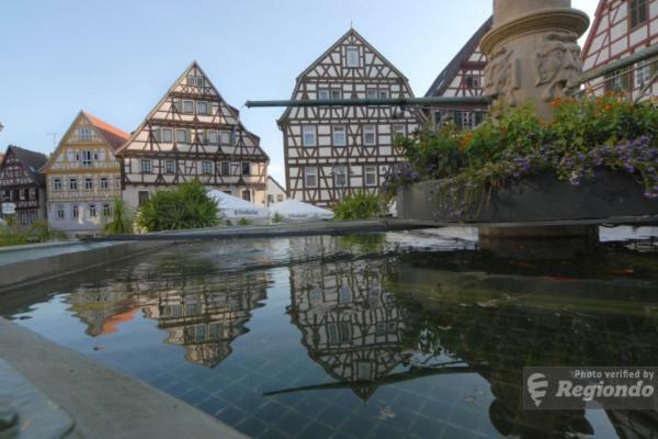 Schlosshotel Hoefingen Леонберг Экстерьер фото